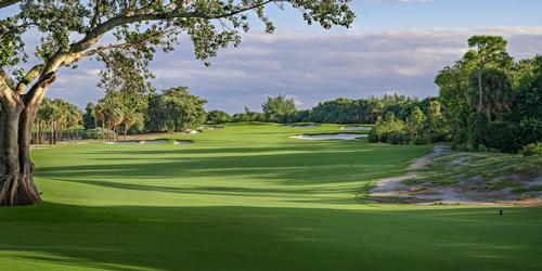 The Park West Palm Golf Package