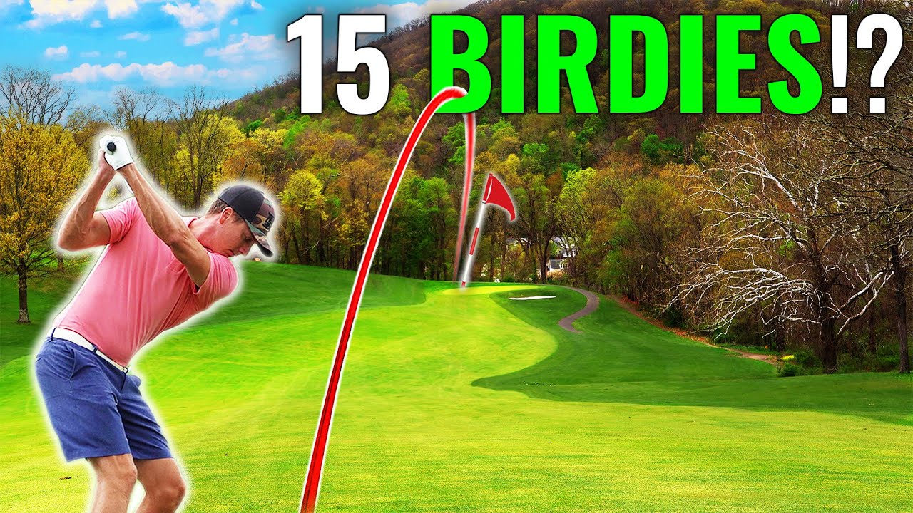 MOST BIRDIES In YouTube History!?